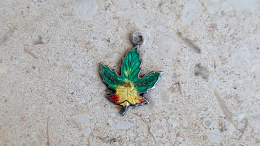 1940s Nigara Falls Color Enamel Sterling Pendant